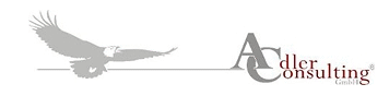 Adler Consulting